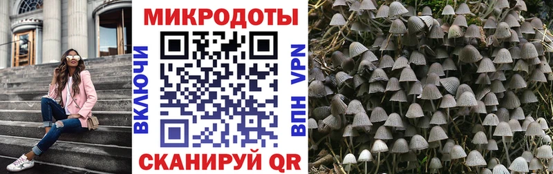 наркошоп KRAKEN ТОР Галлюциногенные грибы Magic Shrooms Краснокаменск